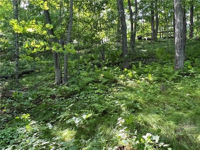 Phenomenal lot! Craft your dream home or cabin on the serene - photo 15