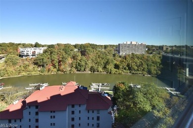 Rare Opportunity in The Westlake Condos! Spacious 2 BR, 2 1/2 BA - photo 2