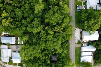 Build or invest in the heart of Apalachicola's Historic District - photo 22