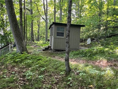 Phenomenal lot! Craft your dream home or cabin on the serene - photo 26