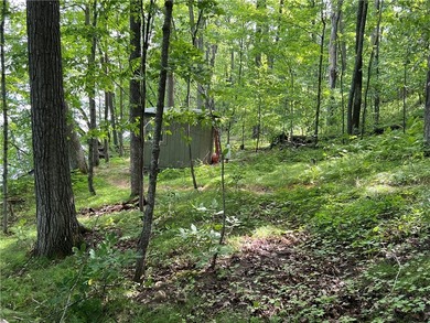 Phenomenal lot! Craft your dream home or cabin on the serene - photo 32