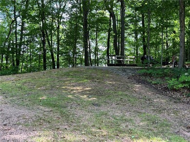 Phenomenal lot! Craft your dream home or cabin on the serene - photo 36