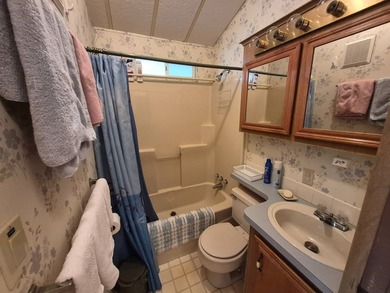 Charming & Well-Maintained 1998 CHIO Mobile Home in Desirable - photo 9