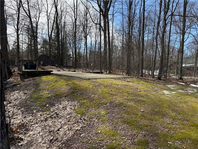 Phenomenal lot! Craft your dream home or cabin on the serene - photo 39