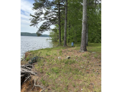 Lake Lot For Sale in Waterloo, Alabama