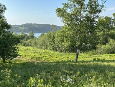 This lot offers 2.78 acres of gently rolling, open space in the - photo 1