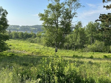 This lot offers 2.78 acres of gently rolling, open space in the - photo 5