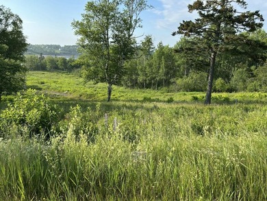 This lot offers 2.78 acres of gently rolling, open space in the - photo 6
