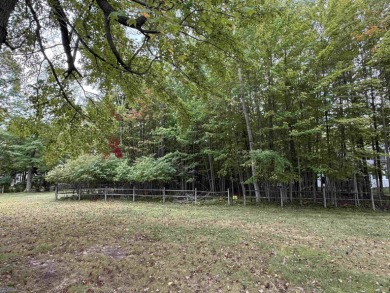 Lake Lancer Lot For Sale in Gladwin Michigan
