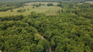 80 Acres on Little River - Waterfront Fishing, Hunting & - photo 31