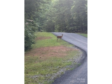 Enjoy Lake Adger on your own water front lot! This combined lot - photo 4