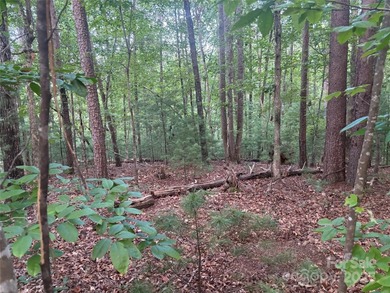 Enjoy Lake Adger on your own water front lot! This combined lot - photo 5