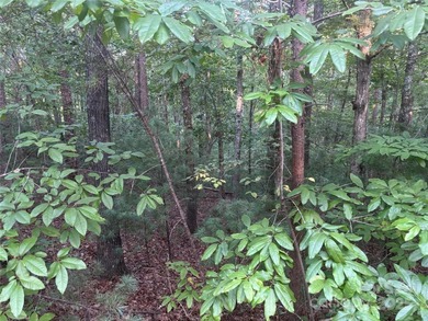 Enjoy Lake Adger on your own water front lot! This combined lot - photo 6