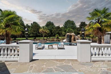 A rare opportunity to own one of the region's premier luxury - photo 26
