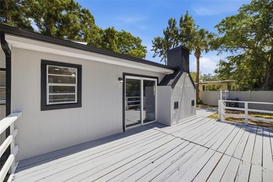 FULLY REMODELED | MOVE-IN READY | NO HOA | FLOOD ZONE X This - photo 31