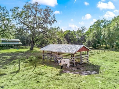 A rare offering of space, privacy, and possibility, this - photo 36