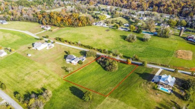 Lake Lot Off Market in Kingston, Tennessee