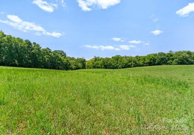 A rare opportunity to own one of the region's premier luxury - photo 47