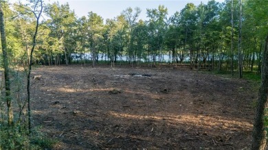 Lake Acreage For Sale in Pine City, Minnesota