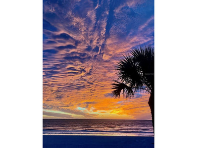 Welcome to a truly rare Gulf-front opportunity in the heart of - photo 3