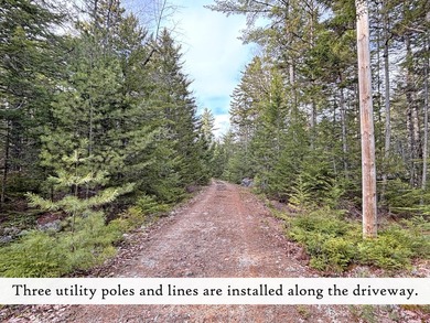 A level of solitude that can take years to find resides here - photo 15