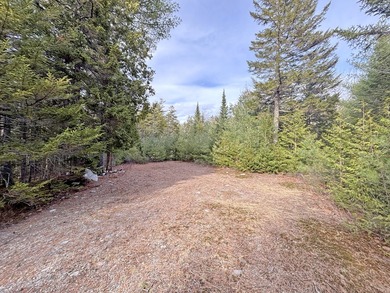 A level of solitude that can take years to find resides here - photo 17