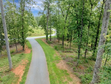 This exceptional and extraordinarily private homesite offering - photo 17