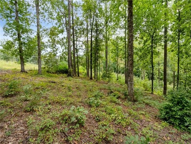 This exceptional and extraordinarily private homesite offering - photo 19