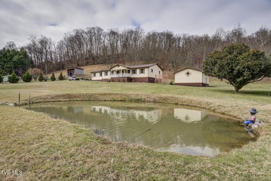 (private lake, pond, creek) Home For Sale in Watauga Tennessee