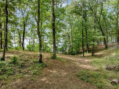This exceptional and extraordinarily private homesite offering - photo 22