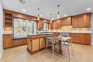 Welcome to 46 Nassau Drive, nestled in the Village of Kensington - photo 8