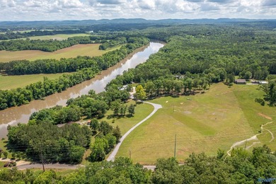 WATERFRONT - Peace and Quiet located right on the Coosa River - photo 38