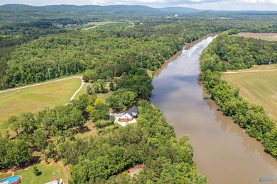 WATERFRONT - Peace and Quiet located right on the Coosa River - photo 42