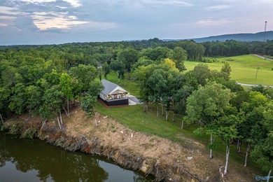 WATERFRONT - Peace and Quiet located right on the Coosa River - photo 47