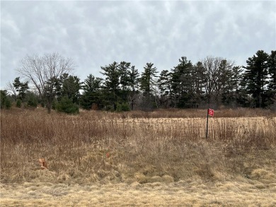 Lake Acreage For Sale in Rice Lake, Wisconsin