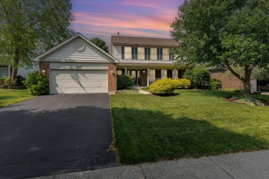 Lake Home For Sale in Oswego, Illinois
