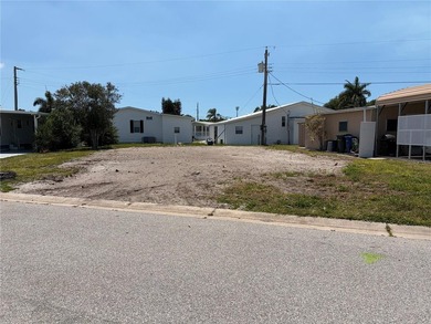 This cleared and vacant parcel is prepared for the installation - photo 3