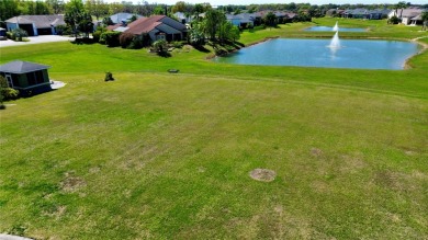 Lake Lot Sale Pending in Polk City, Florida