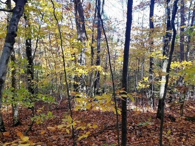 Lot has red ribbon on road frontage before private cul-de-sac - photo 1