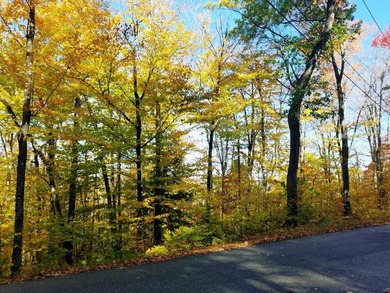 Lot has red ribbon on road frontage before private cul-de-sac - photo 3