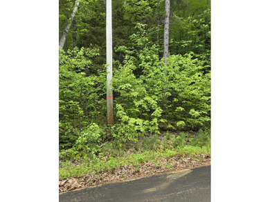 Lot has red ribbon on road frontage before private cul-de-sac - photo 4