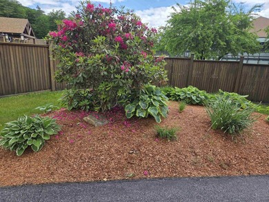 Lot has red ribbon on road frontage before private cul-de-sac - photo 5