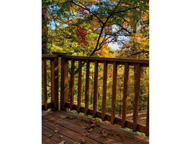 Tucked among the trees near Beaver Lake, this beautifully - photo 44
