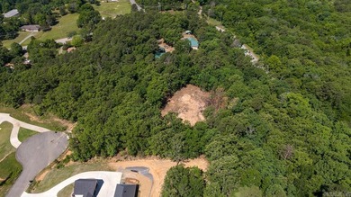 ONLY 2 LOTS REMAINING!!! Premium 3.26 acre cul-de-sac lot in a - photo 11