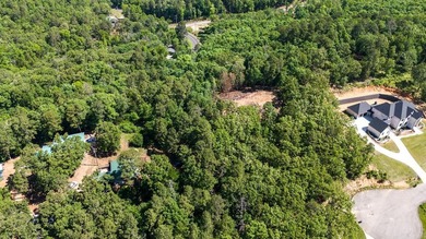 ONLY 2 LOTS REMAINING!!! Premium 3.26 acre cul-de-sac lot in a - photo 17