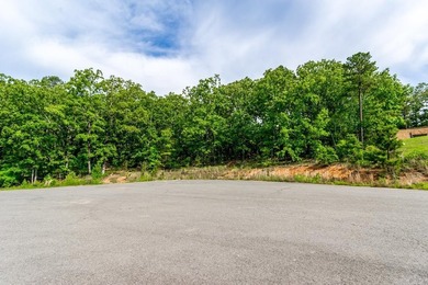 ONLY 2 LOTS REMAINING!!! Premium 3.26 acre cul-de-sac lot in a - photo 20