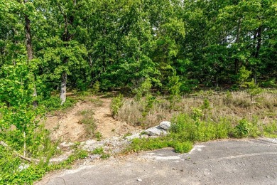 ONLY 2 LOTS REMAINING!!! Premium 3.26 acre cul-de-sac lot in a - photo 22