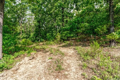 ONLY 2 LOTS REMAINING!!! Premium 3.26 acre cul-de-sac lot in a - photo 24