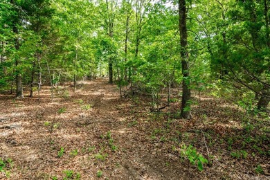 ONLY 2 LOTS REMAINING!!! Premium 3.26 acre cul-de-sac lot in a - photo 25