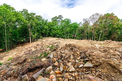 ONLY 2 LOTS REMAINING!!! Premium 3.26 acre cul-de-sac lot in a - photo 29